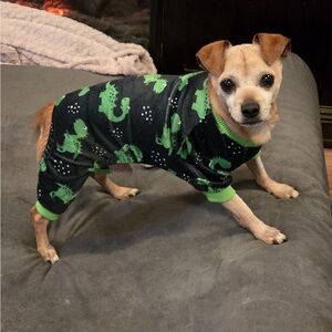 Fitwarm Dino Dog pajamas,med. NWT